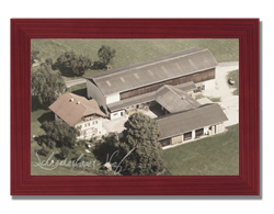 Schneiderbauer-Hof Lamprechtshausen - Fleckvieh-Kalbinnen Aufzucht